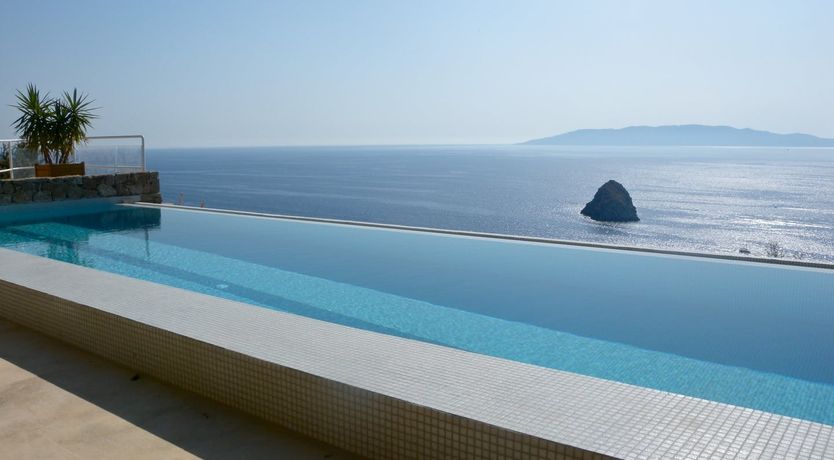 Photo of The Painted Rose