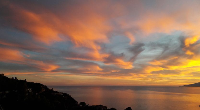 Photo of The Painted Rose