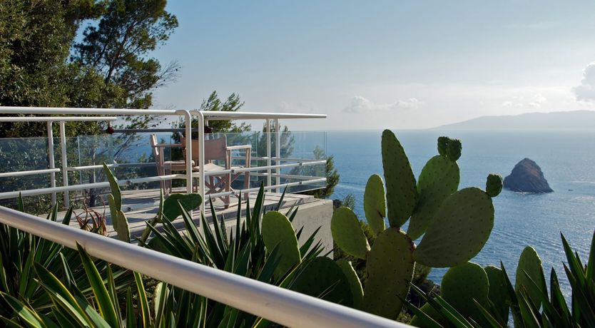 Photo of The Painted Rose