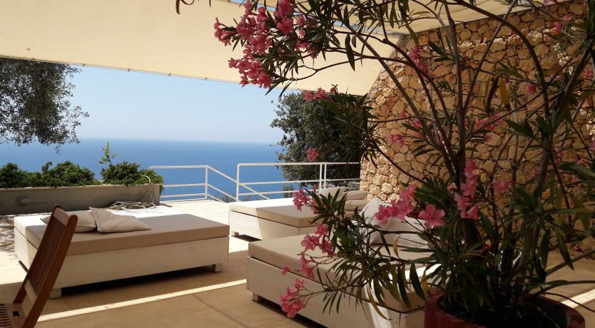 Photo of The Painted Rose