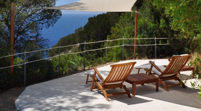 Photo of The Painted Rose