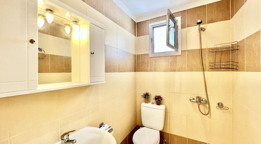 Photo of The Artist's Sea