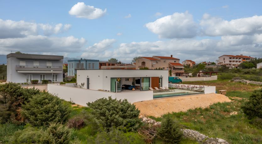 Photo of Swallows & Wrens