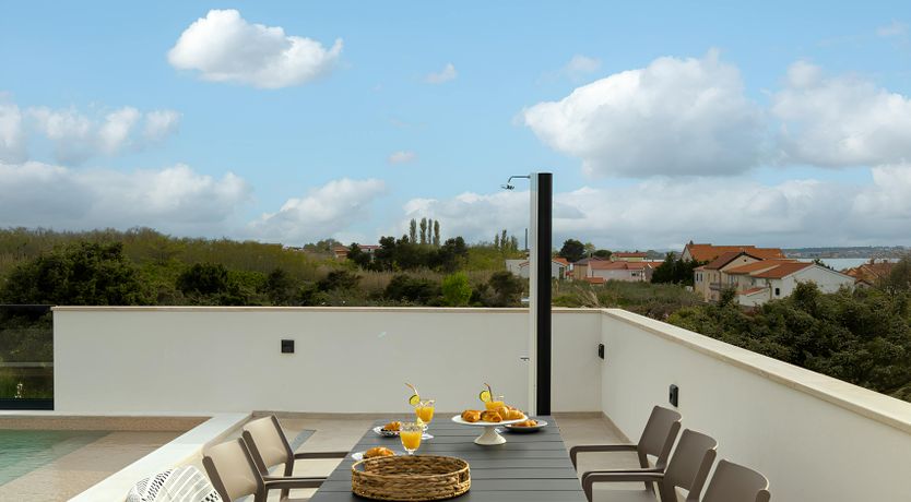 Photo of Swallows & Wrens