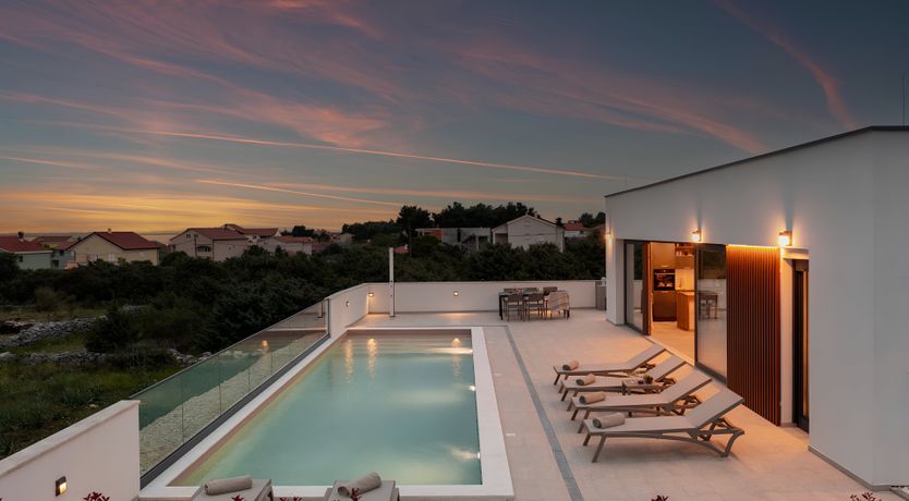 Photo of Swallows & Wrens