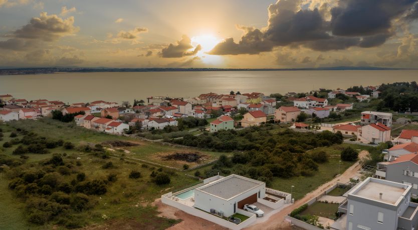 Photo of Swallows & Wrens