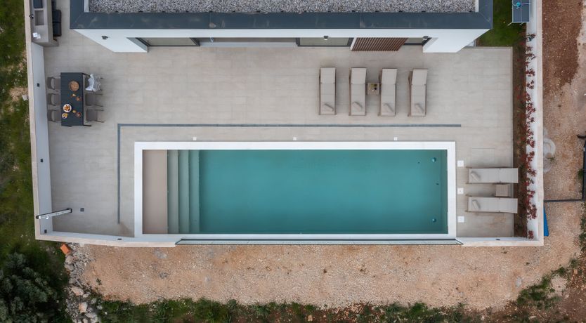 Photo of Swallows & Wrens