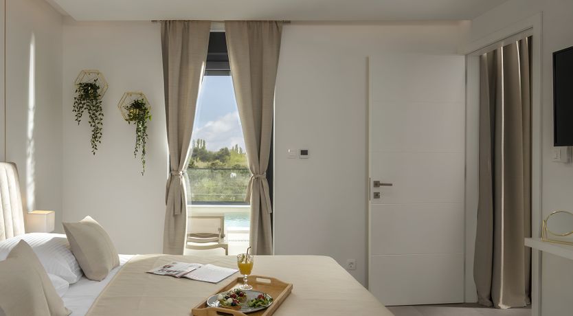 Photo of Swallows & Wrens