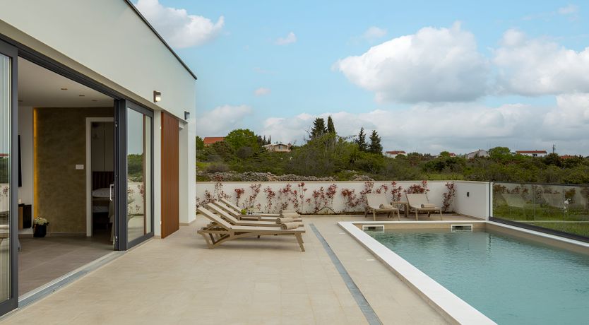 Photo of Swallows & Wrens