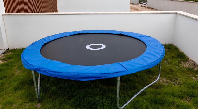 Photo of Swallows & Wrens