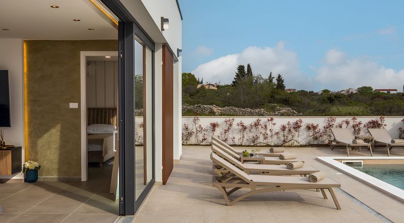 Photo of Swallows & Wrens