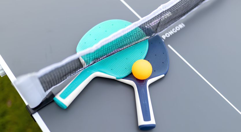 Photo of Swallows & Wrens