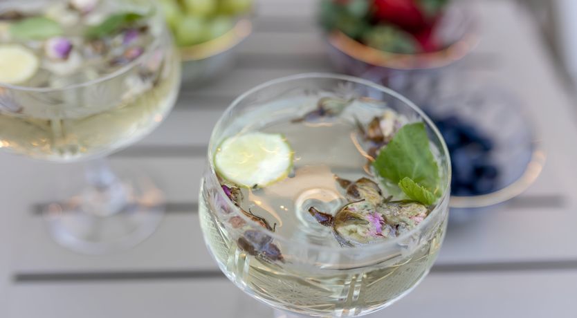 Photo of Swallows & Wrens