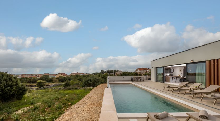 Photo of Swallows & Wrens