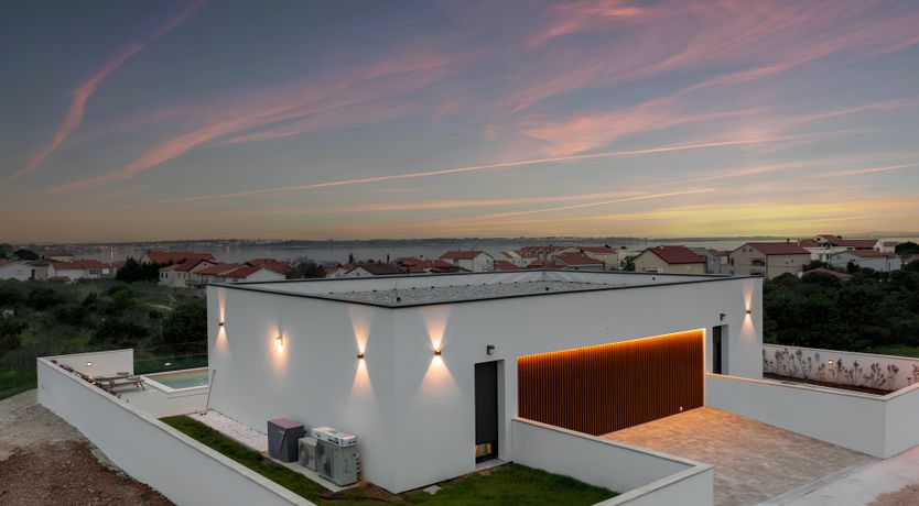 Photo of Swallows & Wrens