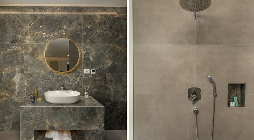 Photo of Swallows & Wrens