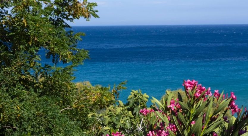 Photo of Greek Harmony