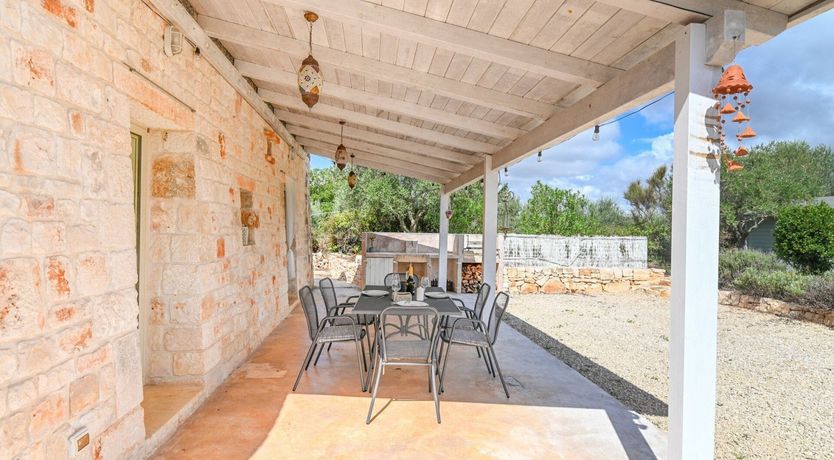 Photo of The Summer Song