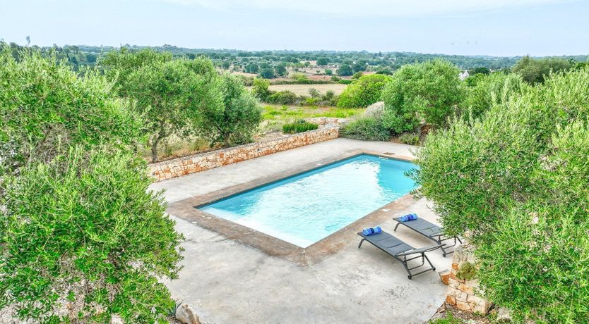 Photo of The Summer Song