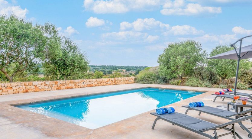 Photo of The Summer Song