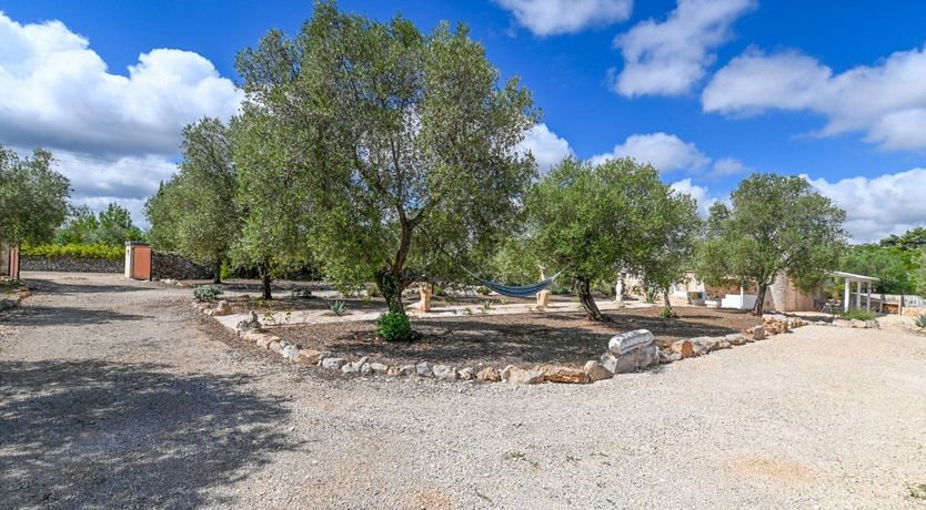 Photo of The Summer Song