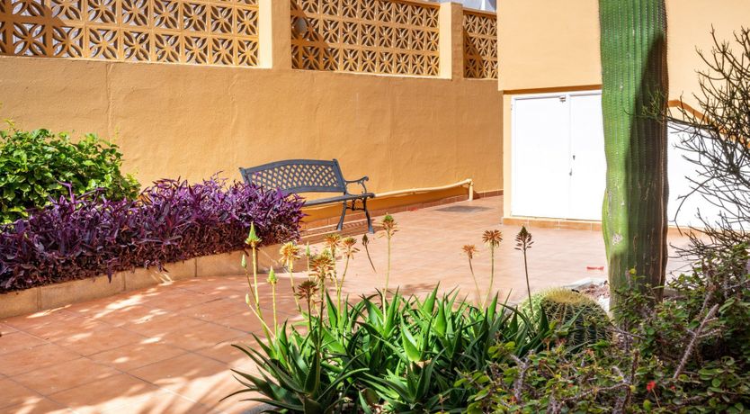 Photo of Where Strides the Wind