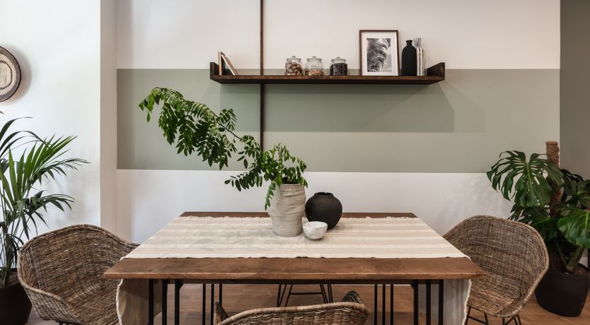 Photo of Tropical Outline