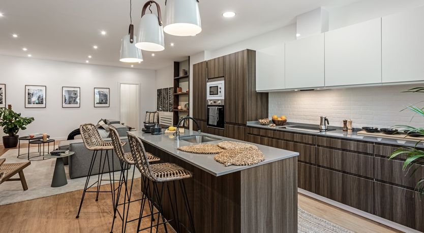 Photo of Tropical Outline