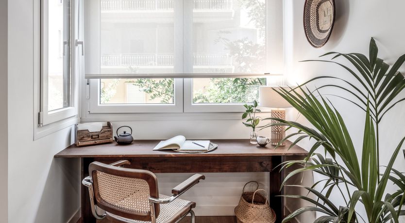 Photo of Tropical Outline