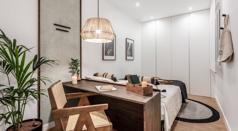 Photo of Tropical Outline