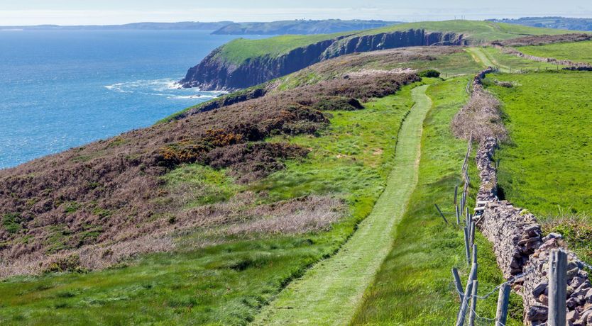 Photo of The Cottage on the Coast