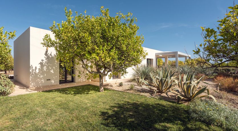 Photo of Lemons & Lavender