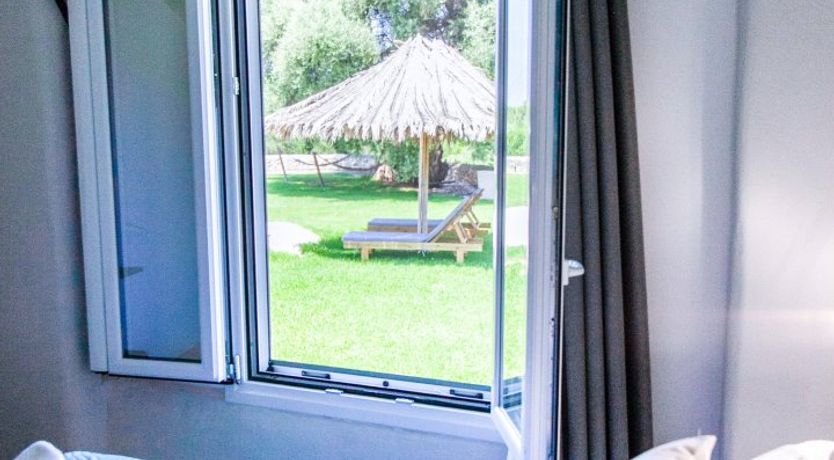 Photo of Sunflowers & Stone