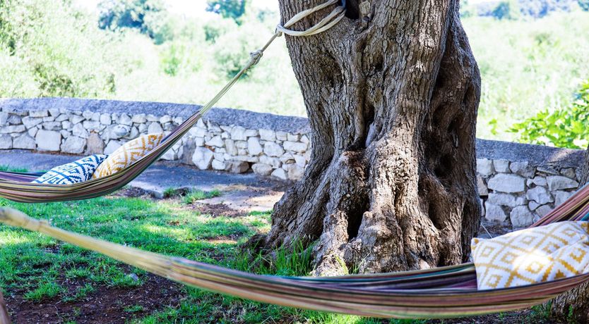 Photo of Sunflowers & Stone