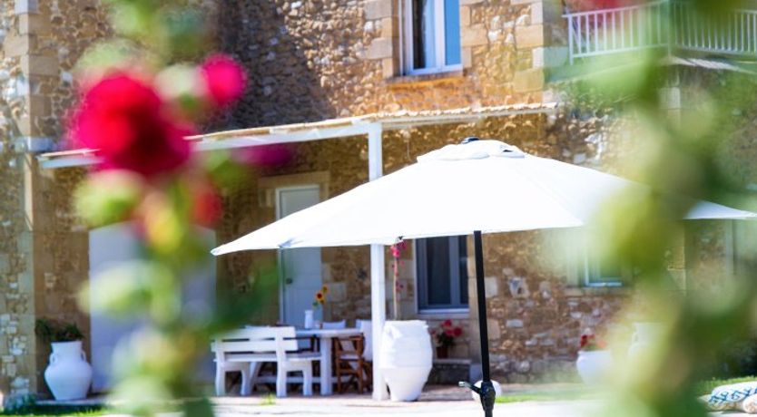 Photo of Sunflowers & Stone