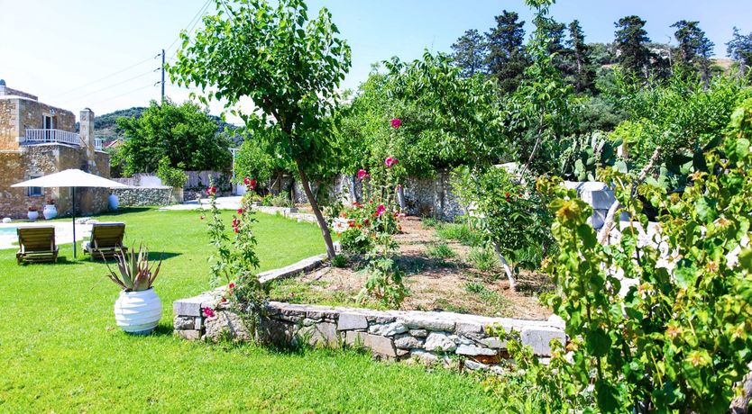 Photo of Sunflowers & Stone