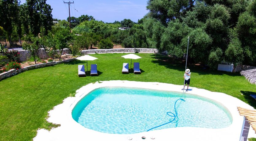 Photo of Sunflowers & Stone