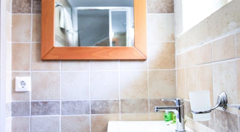 Photo of Sunflowers & Stone