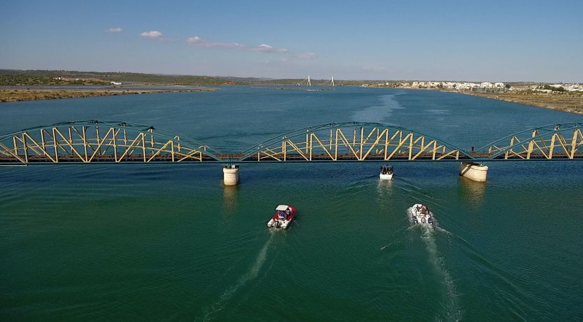 Photo of Alabaster Summer