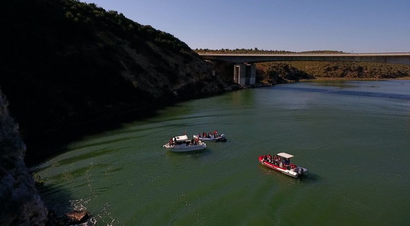 Photo of Alabaster Summer