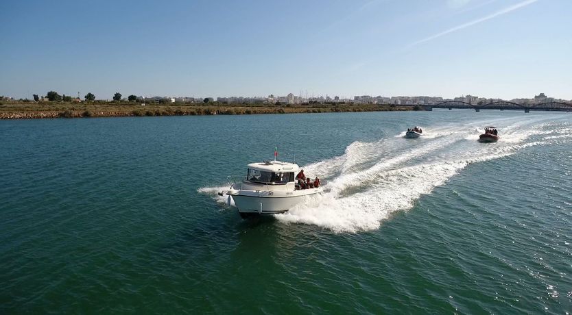 Photo of Alabaster Summer