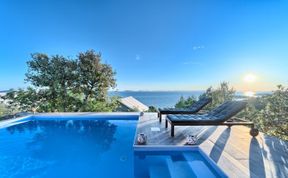 Photo of The Poolside Palm