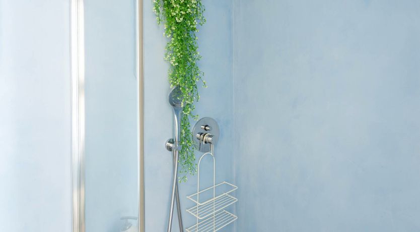 Photo of The Island Fairy