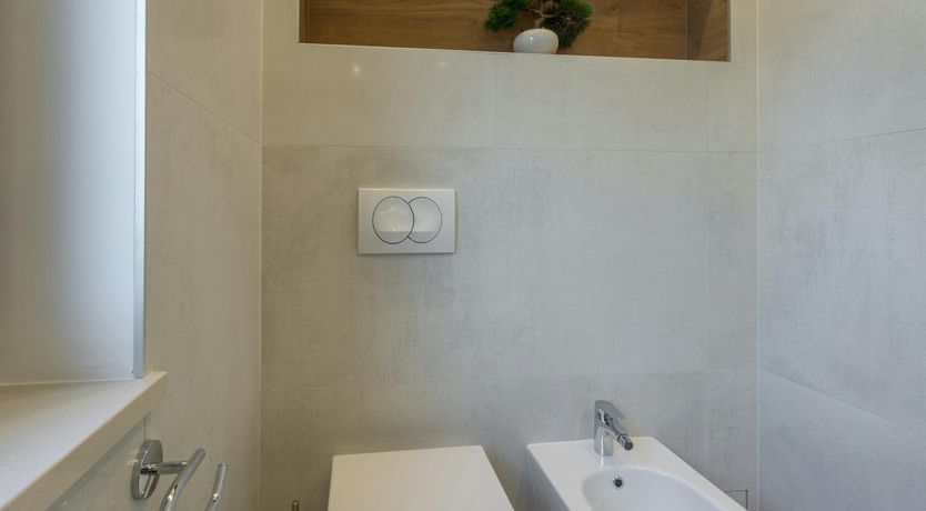 Photo of Harmonious Coast