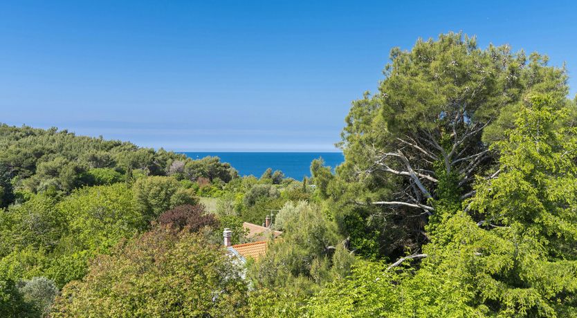 Photo of Medulin's Heart