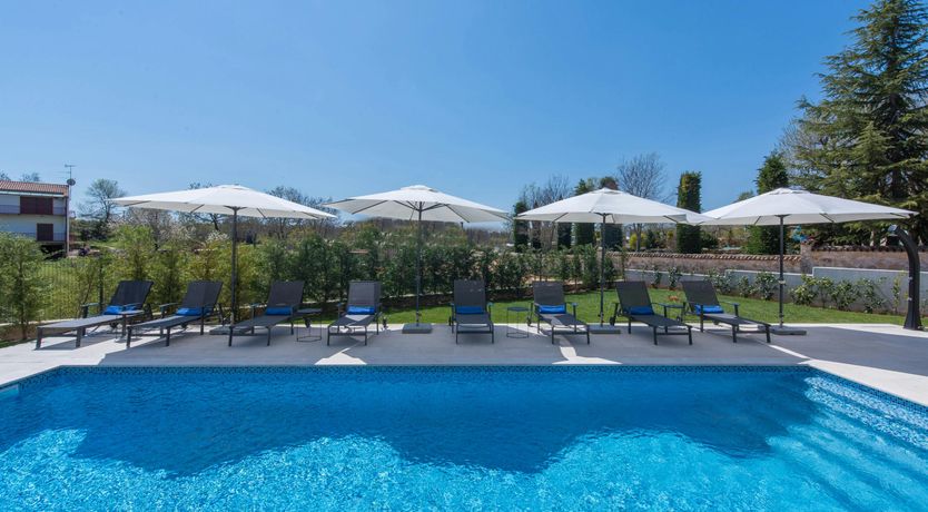 Photo of Mediterranean Ivory