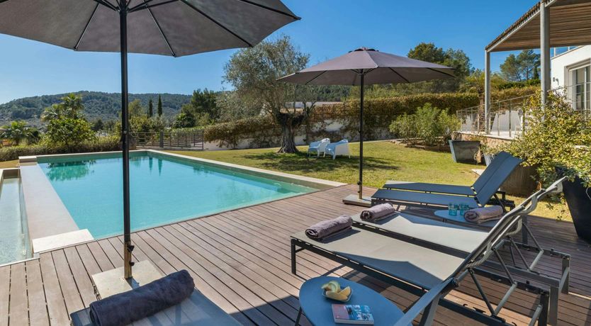 Photo of Golden Star Ash