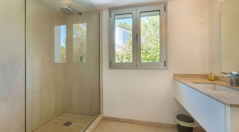 Photo of Golden Star Ash