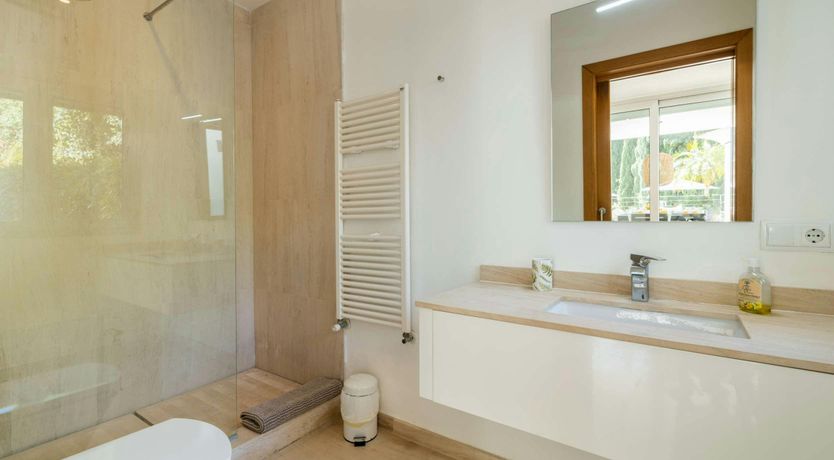 Photo of Golden Star Ash