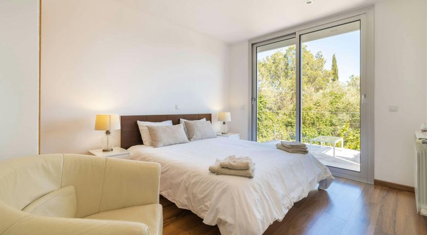 Photo of Golden Star Ash